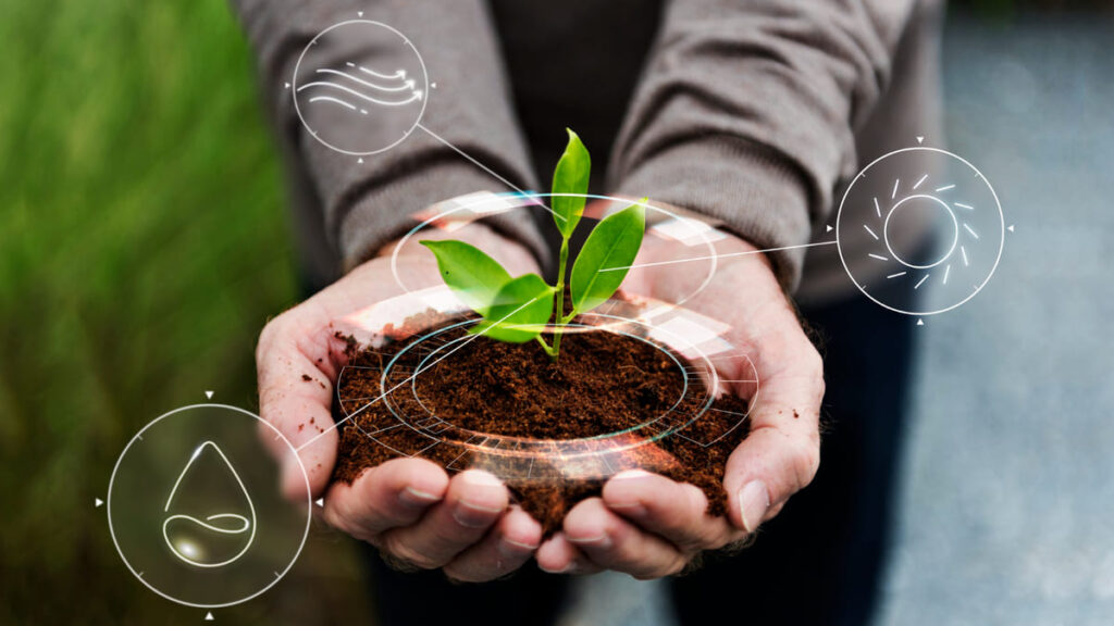 Redução no uso de óleo melhora desempenho e sustentabilidade sustentabilidade oleo 1 1