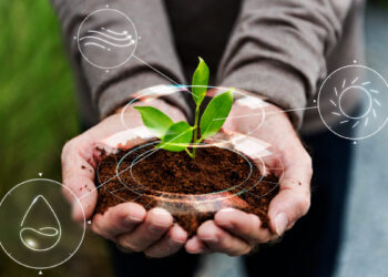 Redução no uso de óleo melhora desempenho e sustentabilidade