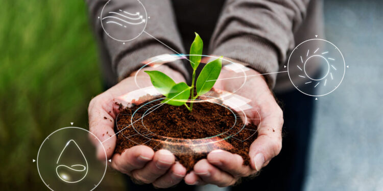 Redução no uso de óleo melhora desempenho e sustentabilidade 15 Foto: Reprodução/ Freepik