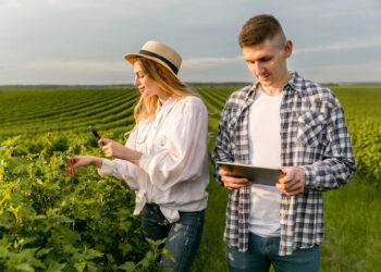 Agronegócio paulista investe em inovação e sustentabilidade