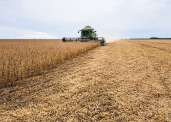 Crédito e digitalização: desafios e oportunidades para a safra 2025/26