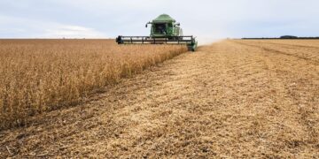 Crédito e digitalização: desafios e oportunidades para a safra 2025/26 3 Crédito e digitalização: desafios e oportunidades para a safra 2025/26