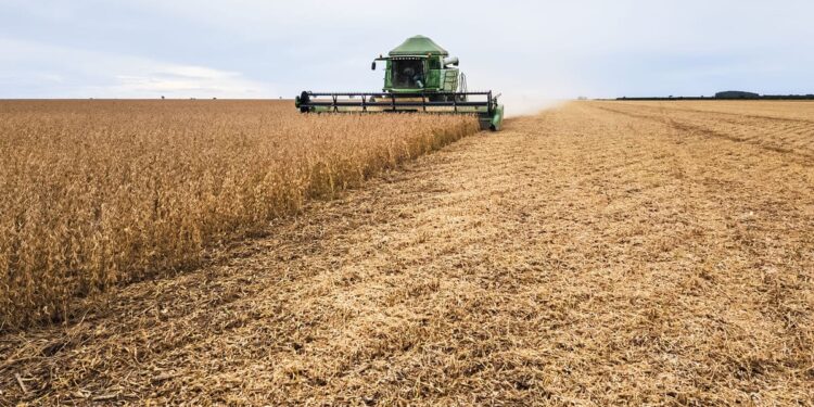 Crédito e digitalização: desafios e oportunidades para a safra 2025/26 16 Foto: Reprodução/ Divulgação