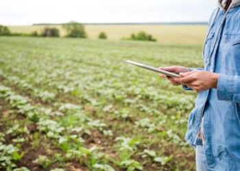 Reforma tributária: relatório no Senado gera preocupações no agronegócio