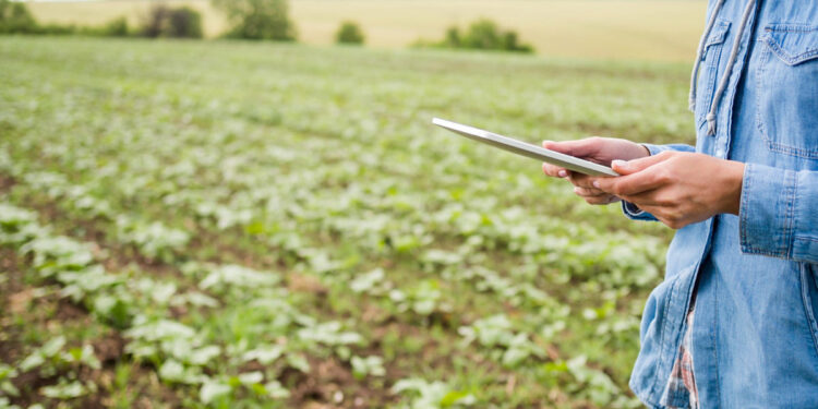 Reforma tributária: relatório no Senado gera preocupações no agronegócio 16 Foto: Reprodução/ Freepik
