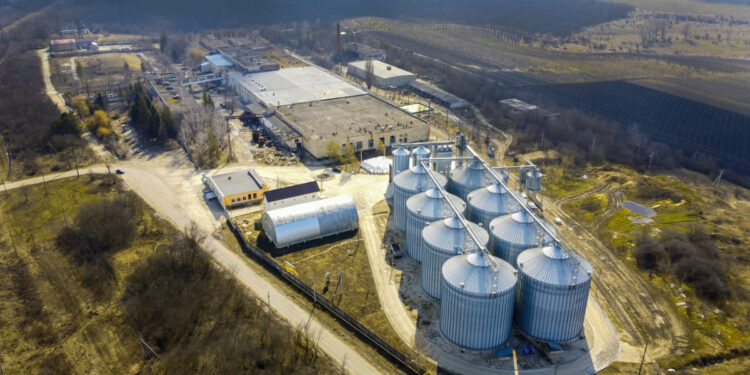 Decreto regulamenta programa de descarbonização e incentiva uso do biometano no Brasil 16 Foto: Reprodução/ Freepik