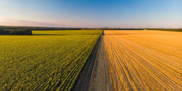 Agronegócio enfrenta desafios e incertezas diante de cenário político e econômico 17 Agro brasileiro mantém crescimento nos últimos cinco anos e projeta recuperação em 2026