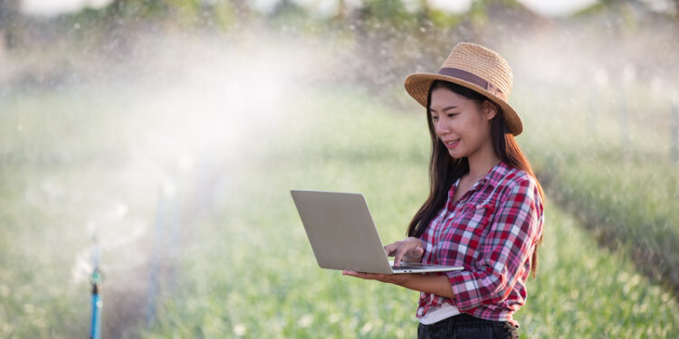 Foto: Reprodução/ Divulgação