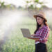 Big data ganha força no agronegócio brasileiro e impulsiona produtividade no campo 5 Big data ganha força no agronegócio brasileiro e impulsiona produtividade no campo