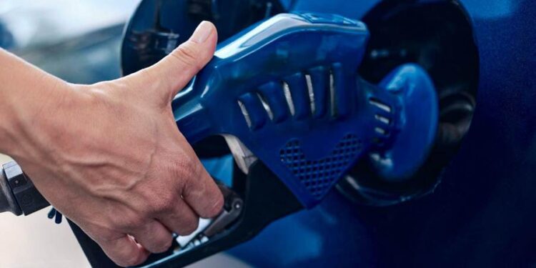 Foto: Reprodução/ Divulgação