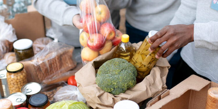 Foto: Reprodução/ Freepik