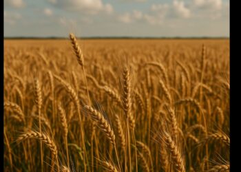 Holambra Cooperativa lança primeiro Relatório de Sustentabilidade de sua história