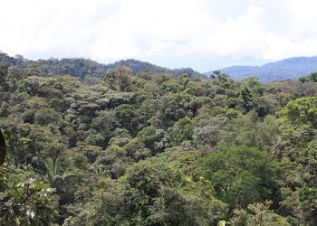 Governo defende manutenção de vetos à Lei Geral do Licenciamento Ambiental