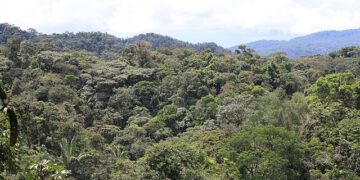 Governo defende manutenção de vetos à Lei Geral do Licenciamento Ambiental 1 Governo defende manutenção de vetos à Lei Geral do Licenciamento Ambiental
