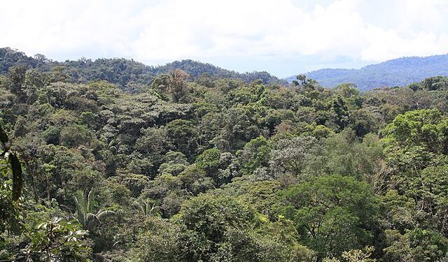 Governo defende manutenção de vetos à Lei Geral do Licenciamento Ambiental 14 Foto: Reprodução creative commons