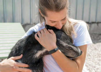 Transporte aéreo de cães-guia para pessoas com deficiência visual é gratuito em todo o Brasil