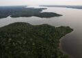 BNDES e Petrobras lançam edital para compra de créditos de carbono e incentivo à restauração florestal na Amazônia 20 BNDES e Petrobras lançam edital para compra de créditos de carbono e incentivo à restauração florestal na Amazônia