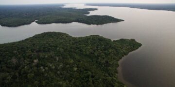BNDES e Petrobras lançam edital para compra de créditos de carbono e incentivo à restauração florestal na Amazônia 3 BNDES e Petrobras lançam edital para compra de créditos de carbono e incentivo à restauração florestal na Amazônia