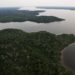 BNDES e Petrobras lançam edital para compra de créditos de carbono e incentivo à restauração florestal na Amazônia 2 BNDES e Petrobras lançam edital para compra de créditos de carbono e incentivo à restauração florestal na Amazônia