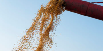 Safra 2025/26 deve alcançar 354,8 milhões de toneladas de grãos, estima Conab