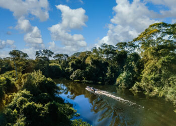 Amazônia Legal tem quase metade do território sob proteção