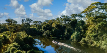 Amazônia Legal tem quase metade do território sob proteção