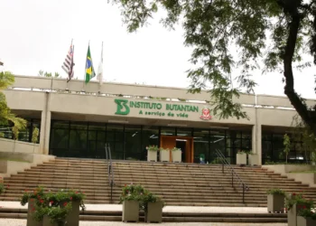 Ministério da Saúde aprova novas parcerias para ampliar produção nacional de medicamentos