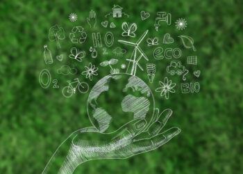 Natura anuncia parceria institucional para apoiar a COP30 em Belém