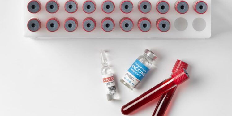 Foto;Reprodução freepik