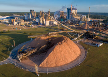 Revista Capital Econômico: O valor da informação certa, na hora certa! 36 BNDES aprova R$ 451,7 milhões para modernização de unidades da Suzano