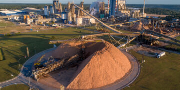 BNDES aprova R$ 451,7 milhões para modernização de unidades da Suzano