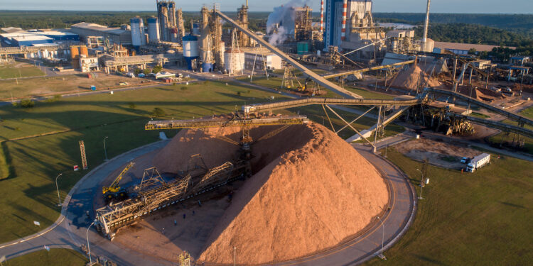 Foto: Reprodução/ Divulgação