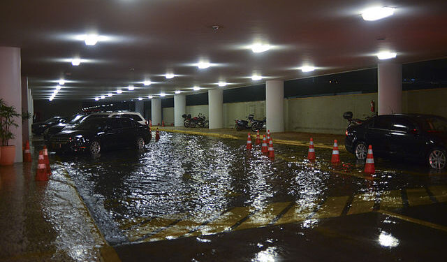 Foto: Reprodução creative commons