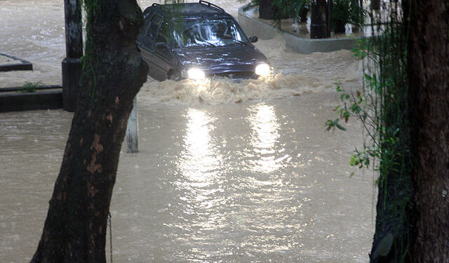 Foto: Reprodução creative commons