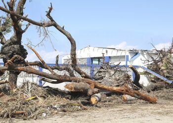 São Paulo registra aumento no número de consumidores sem energia após ciclone extratropical 20 São Paulo registra aumento no número de consumidores sem energia após ciclone extratropical