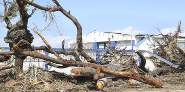 São Paulo registra aumento no número de consumidores sem energia após ciclone extratropical 15 São Paulo registra aumento no número de consumidores sem energia após ciclone extratropical