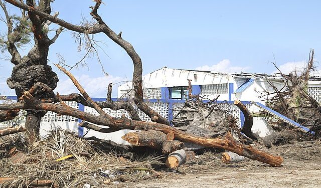 Foto: Reprodução creative commons