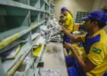 TST impõe funcionamento mínimo dos Correios durante greve nacional 20 TST impõe funcionamento mínimo dos Correios durante greve nacional