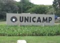Candidatos iniciam segunda fase do vestibular da Unicamp com provas de redação e disciplinas interdisciplinares