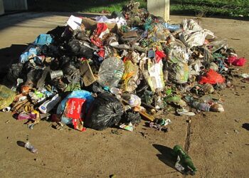 Revista Capital Econômico: O valor da informação certa, na hora certa! 33 Brasil gera 81,6 milhões de toneladas de resíduos sólidos urbanos em 2024, aponta relatório