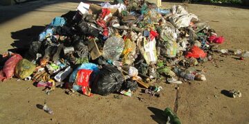 Brasil gera 81,6 milhões de toneladas de resíduos sólidos urbanos em 2024, aponta relatório