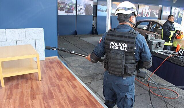 Foto; Reprodução creative commons