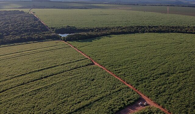 Foto: Reprodução creative commons