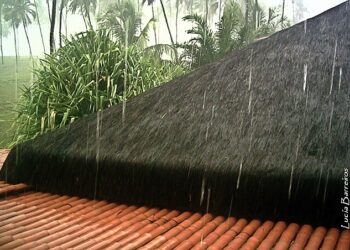 Tempestade causa alagamentos, queda de árvores e falta de energia na região metropolitana de São Paulo 19 Tempestade causa alagamentos, queda de árvores e falta de energia na região metropolitana de São Paulo