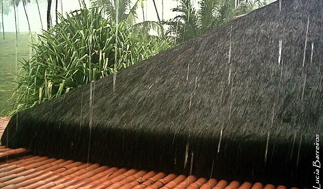 Tempestade causa alagamentos, queda de árvores e falta de energia na região metropolitana de São Paulo 14 Foto: Reprodução creative commons