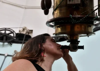 Produção científica brasileira volta a crescer em 2024, mas ainda abaixo do pico histórico