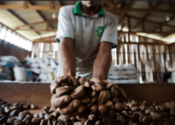 Fim do tarifaço dos EUA traz alívio ao setor de hortifrútis brasileiro 22 Fim do tarifaço dos EUA traz alívio ao setor de hortifrútis brasileiro