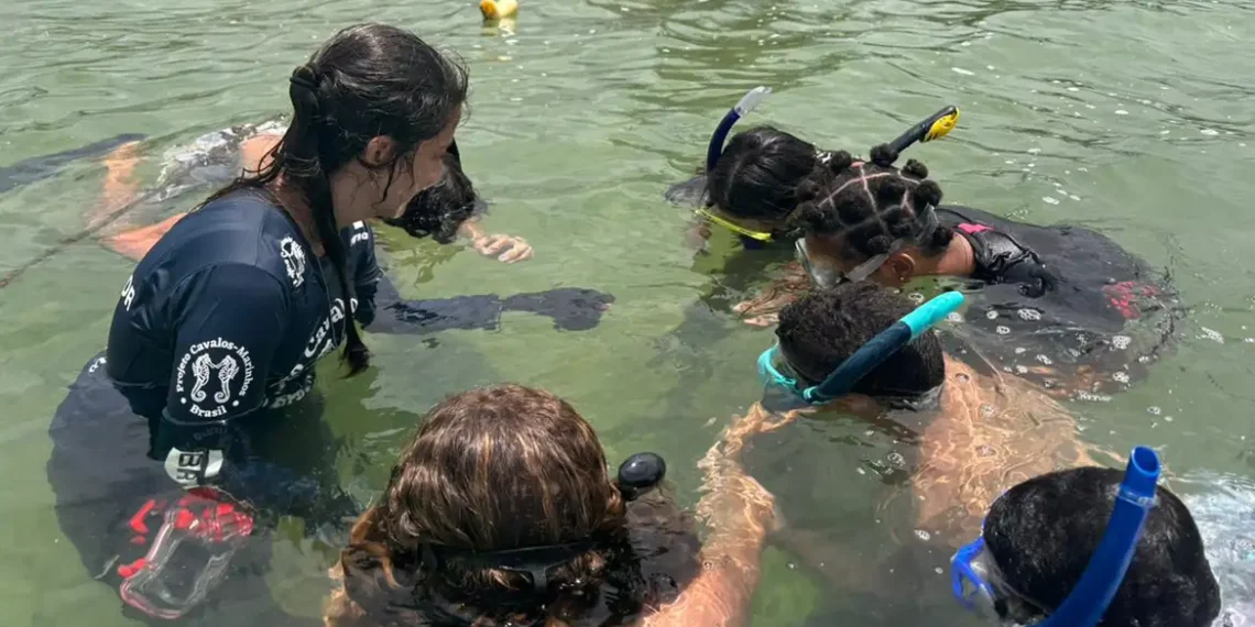 Primeira turma de jovens guardiões de cavalos-marinhos é formada na Região dos Lagos 25 Primeira turma de jovens guardiões de cavalos-marinhos é formada na Região dos Lagos