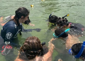 Primeira turma de jovens guardiões de cavalos-marinhos é formada na Região dos Lagos
