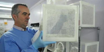 Engenheiro agrônomo brasileiro é destaque internacional por pesquisa contra arboviroses 1 Engenheiro agrônomo brasileiro é destaque internacional por pesquisa contra arboviroses